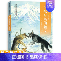 椋鸠十动物小说5:阿尔卑斯的猛犬 [正版]2023 椋鸠十动物小说全10册 生于天空月轮熊山大王孤岛野犬野鸭的友情小说爱