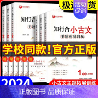 知行合阅读主题拓展训练 (一年级全一册)上册 小学一年级 [正版]2024春新版知行合小古文主题拓展训练一二三四五六年级