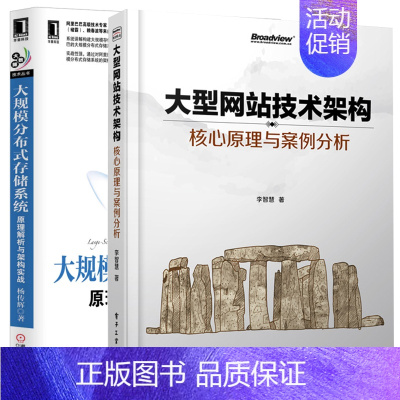 [正版] 大规模分布式存储系统:原理解析与架构实战 杨传辉+大型网站技术架构:核心原理与案例分析 李智慧著 电子工业