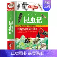 [正版]精装全彩 法布尔昆虫记(珍藏版) 青少年儿童中小学生科普读物课外阅读书籍 昆虫百科全书科学探索趣味生活