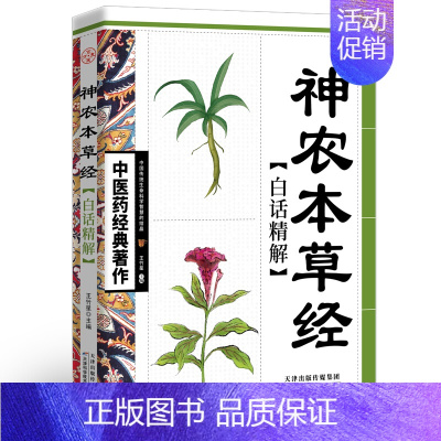 经典著作--神农本草经白话精解 [正版]全套5册 中医推拿按摩书 零基础学推拿学拔罐学刮痧学艾灸 养生书籍大全穴位图人体