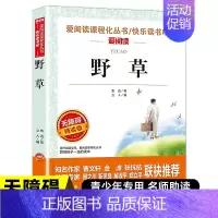 [鲁迅]野草 [正版]冰心儿童文学全集 寄小读者繁星春水小桔灯三部曲文学获奖作品集三四年级上下册课外书必读小学生散文读本