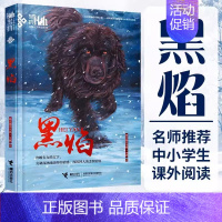 黑焰 [正版]雪山上的达娃裘山山著 五六年级课外阅读书籍 6-12岁儿童读物小学生鲁迅文学奖获奖作品集初中生青少年成长励