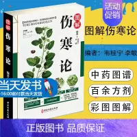 [正版]全彩图解伤寒论 解伤寒杂病论张仲景中医养生四大名著经典书籍保健养生中医入门级书籍 金匮要略温病条辨千金方本草