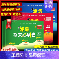 ❤️[2本]语文+数学-苏教版 二年级上 [正版]经纶学霸期末必刷卷一二年级三四五六年级下册语文数学英语人教北师江苏教版