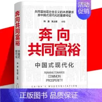 [正版] 《奔向共同富裕》读懂共同富裕 看清未来中国 中国式现代化社会完整论述体系 经济民生通俗理论书籍 湖南人民出