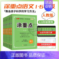 涂重点(语文RJ人教版)[赠字词预习册] 一年级上 [正版]2024秋季新版新领程涂重点语文数学英语一二三四五六年级上下