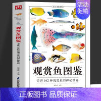 观赏鱼图鉴 [正版]观赏鱼图鉴自然科学读物 海洋生物养殖鱼类科普百科全书图鉴书籍 鱼缸观赏鱼养殖热带海水鱼淡水鱼冷水性鱼