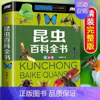[彩图注音版]昆虫百科全书 [正版]中国儿童百科全书精装硬壳彩图注音版 恐龙动物植物昆虫 未解之谜世界之地理上下五千年军