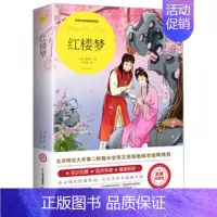 红楼梦 [正版]绿山墙的安妮原著全集蒙哥马利原著小学生三四五六年级阅读必读课外书上下册青少年儿童文学经典书籍世界名著小说