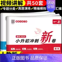 2册:语文+数学 小学升初中 [正版]2024小升初冲刺新卷语文数学英语人教版小升初真题卷六年级下册试卷测试卷全套专项训