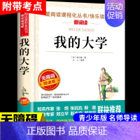 我的大学 [正版]假如给我三天的光明海伦凯勒原著小学生版五年级下册课外书必读四至六年级下适合初中生看的书籍七年级初一上册