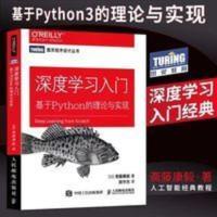 深度学习入门 基于Python的理论与实现 鱼书Python深度学习 智能 深度学习入门 基于Python的理论与实现