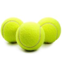 狗狗玩具球金毛泰迪弹力球磨牙网球宠物幼犬拉布拉多小狗训练 宠物网球1个装