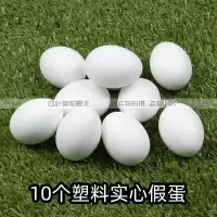 实心塑料假鸽蛋 鸽子蛋 鸽子用具用品 鸽具鸟用具鸽子窝用品 10个假蛋