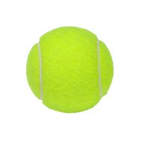 狗狗玩具球 宠物网球 弹力球 网球训练专用 常规训练比赛网球 狗咬玩具单个