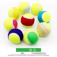 狗狗玩具 狗玩具 宠物玩具 狗玩具 球 网球玩具 颜色随机6.3cm 1个