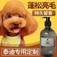 狗狗沐浴露泰迪专用狗狗用品杀菌除臭杀螨宠物狗幼犬洗澡用品 [500ML泰迪专用沐浴露]1瓶