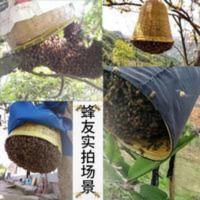 收蜂笼竹制捕蜂收蜂器野外诱蜂招蜂笼捉蜂收蜂袋蜜蜂收蜂工具 收蜂笼竹制捕蜂收蜂器