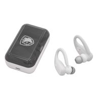 赛德斯蓝牙耳机无线通用华为OPPO苹果vivo小米双耳挂充电带充电仓 混搭白