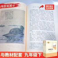 九年级下册简爱儒林外史正版原著无删减初三初中9年级必读课外书全套中学生人教社书籍阅读推荐世界名著人民教育出版社