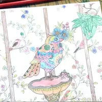 秘密花园填色书涂色书 密密花园绘画图画本儿童版童话梦境彩绘本|神秘花园随机4本