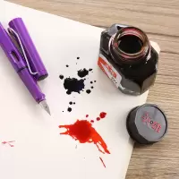 墨水黑红蓝钢笔水练字墨水非碳素墨水不堵笔墨水颜料型