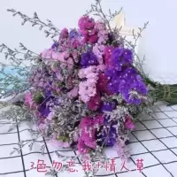 云南勿忘我干花花束买一斤送一斤满天星干花客厅摆件花束真花|紫玫粉+情人草 20支含白色花篮