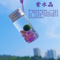 海藻球diy随身瓶水晶生态瓶便携随身瓶创意迷你植物水培植物|紫水晶+玻璃随身瓶+半岁球送挂绳 速生版(+营养液)