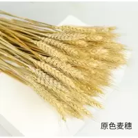 麦穗干花花束金色大麦客厅装饰开业花瓶摆件桌面花艺插花真花