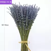 薰衣草干花新花香薰薰衣草干花束香包家居装饰异味