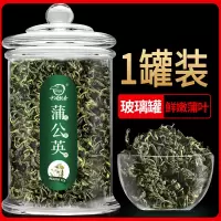 蒲公英泡茶长白山新鲜干蒲公英根儿蒲公英叶茶菊花茶花茶组合 精美玻璃罐:蒲公英叶[1罐60g]