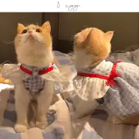 猫猫衣服夏装飞袖猫咪狗狗宠物衣服女英短蕾丝连衣裙薄款公主可爱 连衣裙[XS][收藏链接优先发货]