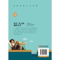 正版童年 在人间 我的大学 高尔基北京日报出版社三步曲世界名著文学小说青少年版儿童书籍 初中学生小学生课外必读物阅读图