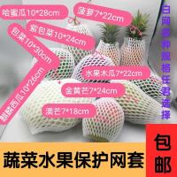 网样版10个(备注尺寸) 白色网 水果蔬菜网套袋包番石榴芒果套袋哈蜜瓜释迦椰子麒麟西瓜包装网袋