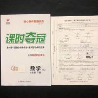 七年级下册数学人教版 2021课时夺冠七年级下册数学人教版课时同步练习册内附测试卷