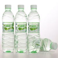 500ML*6瓶【特价】 薄荷水【清凉一夏】 云南冷藏酷薄荷水500ml瓶装24瓶饮用水夏季清凉解渴消暑6瓶