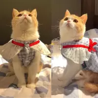 连衣裙[XS][收藏链接优先发货] 猫猫衣服夏装飞袖猫咪狗狗宠物衣服女英短蕾丝连衣裙薄款公主可爱