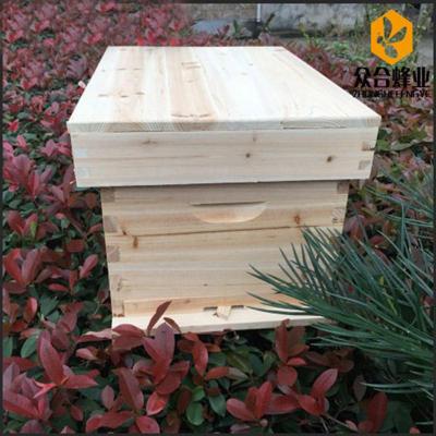 标配(含隔板+纱盖) 蜂箱蜜蜂箱中蜂箱诱蜂桶分蜂箱十框标准箱蜜蜂箱养蜂工具