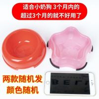 小碗 小号【适合10斤以内】 宠物用品双碗自动饮水宠物猫粮狗粮盆泰迪金毛狗盆猫盆狗碗猫碗