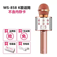 WS-858蓝牙话筒 儿童无线话筒音响一体麦克风k歌神器音箱带话筒唱歌神器家用