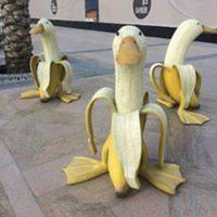 可爱香蕉鸭子毛绒玩具 创意艺术玩偶水果动物摆件 可爱香蕉鸭子毛绒玩具 创意艺术玩偶水果动物摆件