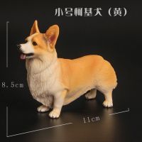 小柯基犬(黄/站姿)体型很小 仿真动物模型儿童玩具塑胶实心宠物狗威尔士柯基犬守护犬模型礼物