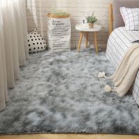 R1:+水灰色+VR /.V+40+60厘米门垫 加厚地毯卧室可爱房间床边毯满铺榻榻米垫客厅沙发茶几地毯地垫