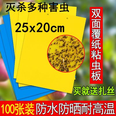 双面粘虫板诱虫板黄色粘虫板诱捕器加厚多肉阳台驱虫用品灭蝇花盆