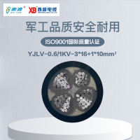 秦源牌 YJLV-0.6/1KV-3*16+1*10mm² 铝芯低压电力电缆 联系客服 定制商品