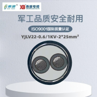 秦源牌 YJLV22-0.6/1KV-2*25mm² 铝芯低压铠装电力电缆 联系客服 定制商品