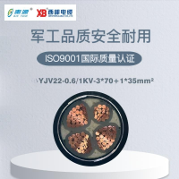 秦源牌 YJV22-0.6/1KV-3*70+1*35mm² 铜芯低压钢带铠装绝缘电力电缆联系客服定制商品