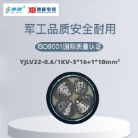 秦源牌 YJLV22-0.6/1KV-3*16+1*10mm² 铝芯低压电力电缆 元/米 定制商品 联系客服