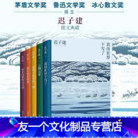 [友一个正版]迟子建散文典藏版全5册 茅盾文学奖得主迟子建散文自选集我的世界下雪了原来姹紫嫣红开遍云烟过客光明于低头的